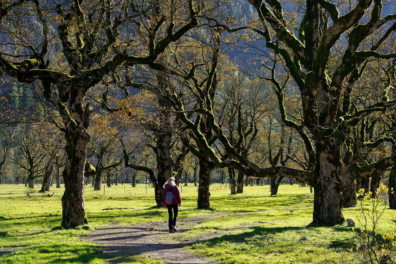 Alpejska dolina o poranku – inspiracja dla serwisu